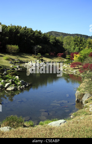 Japanischer Garten in der Bambouseraie Prafrance, Anduze, Languedoc-Roussillon, Frankreich. Stockfoto