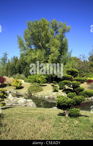 Japanischer Garten in der Bambouseraie Prafrance, Anduze, Languedoc-Roussillon, Frankreich. Stockfoto