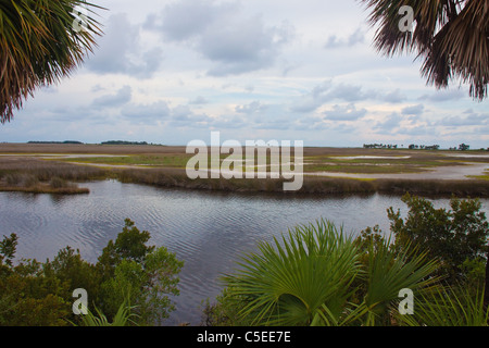 Sümpfe am St. Marks National Wildlife Refuge, Florida, USA Stockfoto