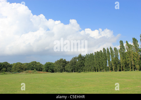 Sonnigen Tag im grünen Valby Park in Kopenhagen, Dänemark. Stockfoto