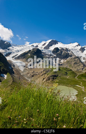 Steingletscher Gletscher, Susten pass, Kanton Uri, Schweiz Stockfoto