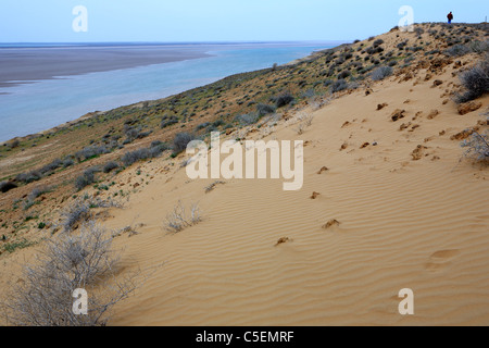 Fluss Amudarja in der Nähe von Qalatov (Grenze zu Turkmenistan, Provinz Khorezm), Usbekistan Stockfoto
