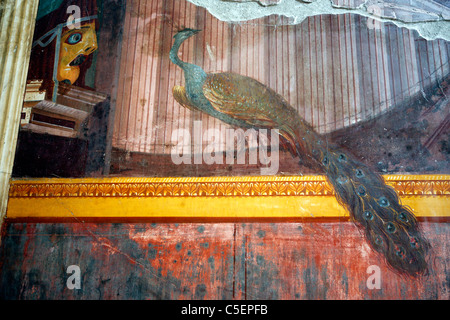 Villa Poppaea Sabina, antiken Oplontis, Torre Annunziata, Pompeji, Kampanien, Italien Stockfoto