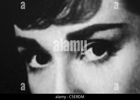 Audrey Augen, Nahaufnahme Detail aus einem Bild Prado del Rey, Andalusien, Spanien, 27. März 2011. Stockfoto