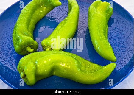 Grüne Chilischoten sind groß, milde Chilis sind in den meisten lokalen Lebensmittelgeschäften erhältlich. Stockfoto