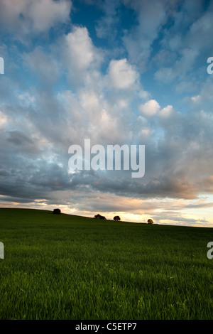 Bilder von der Landschaft Andalusiens am Abend Stockfoto