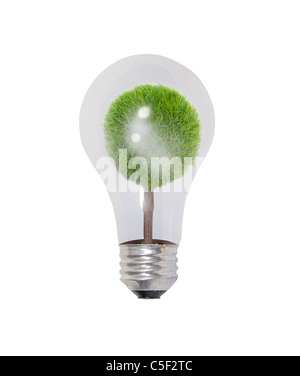 Runde Glas Lampe Glühbirne verwendet, um ein Zimmer mit einem eingemachten Baum innen - Pfad enthalten Licht Stockfoto