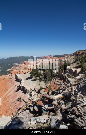 Cedar Breaks National Monument, in der Nähe von Cedar City, Utah Stockfoto