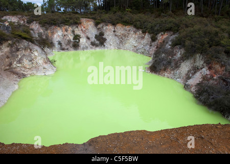 Teufel's Cave, Wai-O-Tapu Thermalbereich, Rotorua, Nordinsel, Neuseeland Stockfoto