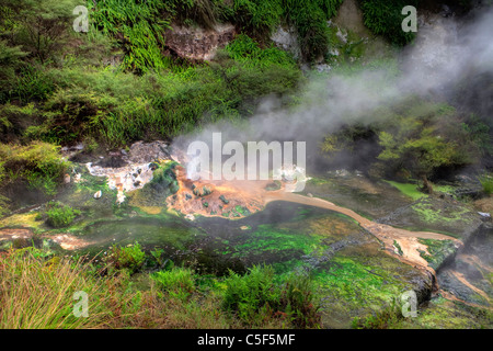 Waimangu Volcanic Valley, Rotorua, Nordinsel, Neuseeland Stockfoto
