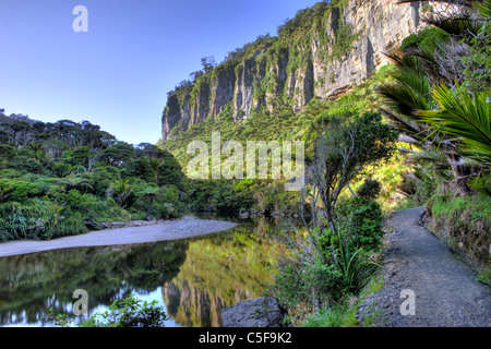 Pororari River Trail, Westcoast Süden Isalnd, Neuseeland Stockfoto