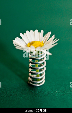 Frühling ist entstanden. Stockfoto