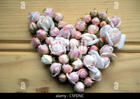 Rosebud Liebe Herz Stockfoto