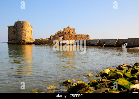 Kreuzritterburg. Sidon (Saida). Im Nahen Osten. Libanon. Stockfoto