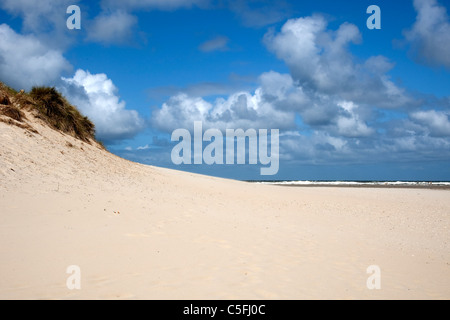 Strand auf Texel, Niederlande Stockfoto