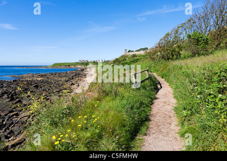 Fife Coastal Path nur außerhalb der Fischerei Dorf von Crail, East Neuk, Fife, Schottland Stockfoto