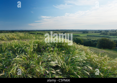 Blick über den Somerset Levels von Burrow prahlen. Somerset. England. VEREINIGTES KÖNIGREICH. Stockfoto