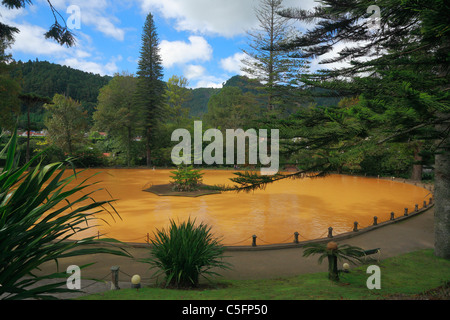 Terra Nostra Park beheizt Eisen Wasser Pool. Furnas, Insel Sao Miguel, Azoren, Portugal. Stockfoto