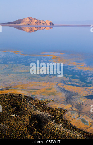 See Logipi ist ein alkalischer Salzsee im Suguta Tal im nördlichen Kenia Stockfoto