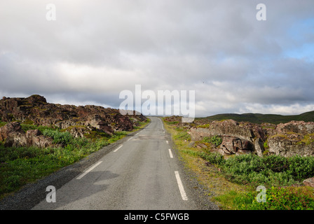 Straße nach Hamningberg im Sommer. Stockfoto