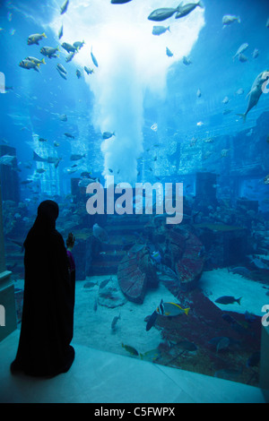 Aquarium und der Unterwasser Zoo am Atlantis Palm Jumeirah, Dubai, Vereinigte Arabische Emirate Stockfoto