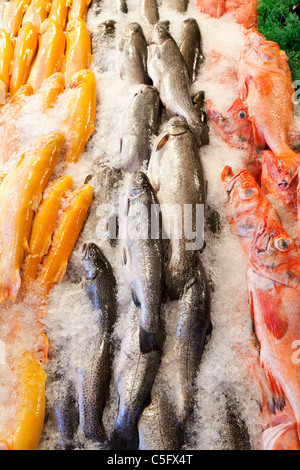 Fisch am Pike Place Market Seattle USA Stockfoto
