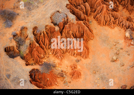 Bodenerosion schafft komplizierte Muster, Kenia Stockfoto