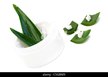 Aloe Vera Blätter und Creme isoliert auf weißem Hintergrund Stockfoto