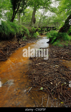 Pfähle mit ausrangierten Stöcke flussabwärts von Pooh Bridge. Stockfoto