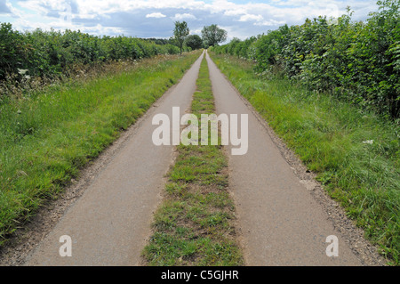 Gerade schmale Landstraße mit Grass wachsen mitten auf der Straße Stockfoto