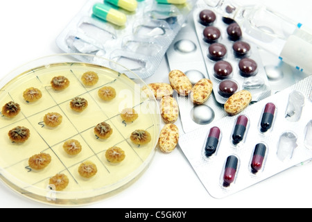 Penicillum Pilze und Pillen von verschiedenen Antibiotika hautnah Stockfoto