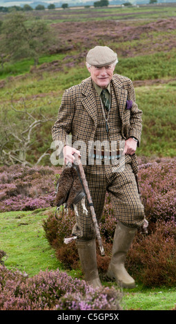 North Yorkshire, England UK - eine Waffe, die im traditionellen Tweeds gekleidet, zu Fuß über einen Grouse moor Durchführung Moorschneehuhn schoss er hat Stockfoto
