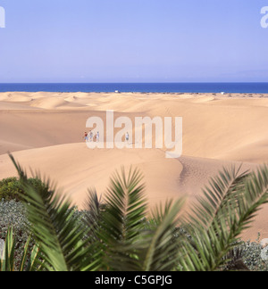 Dunas de Maspalomas, Maspalomas, San Bartolome de Tirajana Gemeinde, Gran Canaria, Kanarische Inseln, Spanien Stockfoto