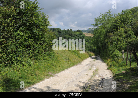 Grobe Feldweg oder Pfad auf Land in der Nähe von Arundel in West Sussex UK Stockfoto