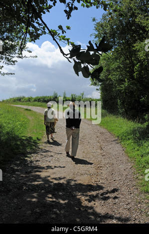 Fuß auf einer groben Feldweg oder eines Pfads auf Land in der Nähe von Arundel in West Sussex UK Stockfoto