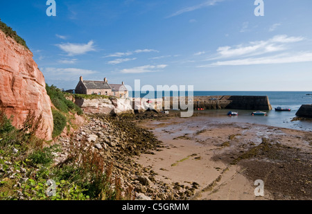 Bucht-Hafen bei Ebbe Stockfoto