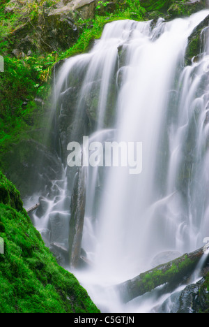 National-Fälle, Rogue River National Forest, Oregon Stockfoto