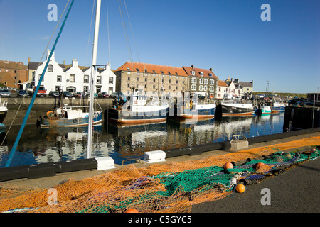 Angelboote/Fischerboote vertäut im Hafen von Eyemouth Stockfoto