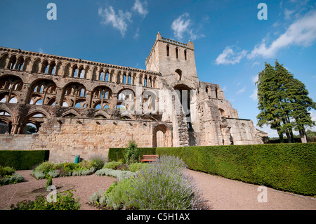 Jedburgh Abbey Stockfoto