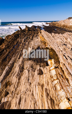 Sedimentären Felsen und Tidepools, Montana de Oro State Park, Kalifornien USA Stockfoto