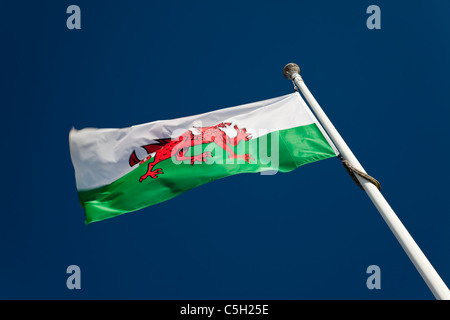 Flagge von St. David (nationale Flagge von Wales) Stockfoto