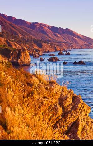 Abendlicht an der Big Sur Küste, Julia Pfeiffer Burns State Park, Kalifornien Stockfoto