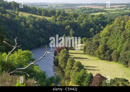 Fluss-Tweed von Scotts View Stockfoto