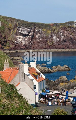 St. Abbs Dorf und Hafen Gebäude Stockfoto