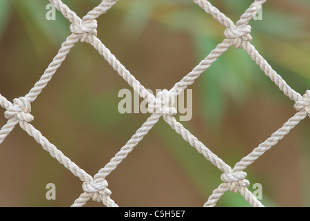 Nahaufnahme eines Netzes Stockfoto