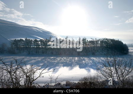 Winter-Wäldchen Plantage Waldkiefern Schafgarbe Wasser - Scottish Borders Stockfoto