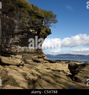 Überhängende Bäume auf erodierten felsigen Klippen am Ufer des Loch ich in der Nähe von Elgol, Isle Of Skye, Schottland Stockfoto