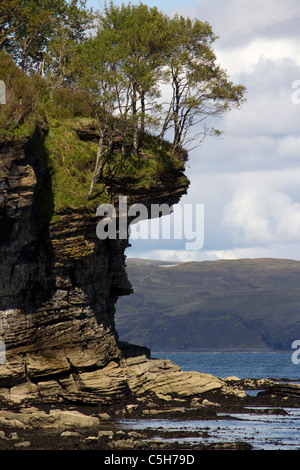 Überhängende Bäume auf erodierten felsigen Klippen am Ufer des Loch ich in der Nähe von Elgol, Isle Of Skye, Schottland Stockfoto