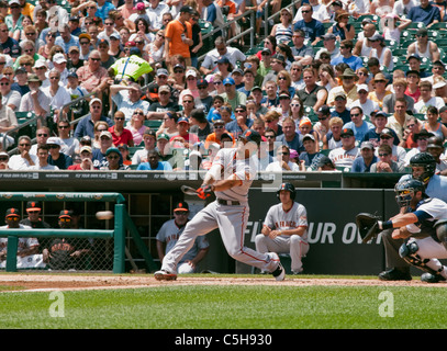 San Francisco Giants Spieler Emmanuel Burriss macht einen Hit bei den Baseball Spiel mit den Detroit Tigers Stockfoto