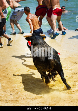 Junge spanische Feiernden am "Bous a la Mar" oder Bulls auf dem Sea Festival in Denia, Spanien 2011 Stockfoto